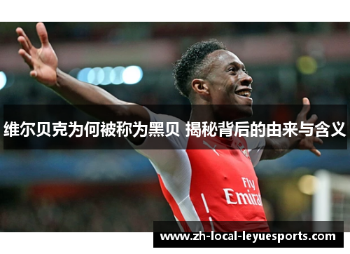 维尔贝克为何被称为黑贝 揭秘背后的由来与含义