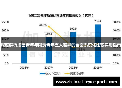 深度解析埃因青年与阿贾青年五大差异的全面系统化比较实用指南