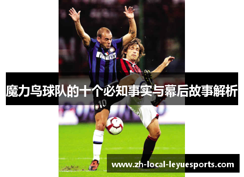魔力鸟球队的十个必知事实与幕后故事解析 魔力鸟球队的十个必知事实与幕后故事解析