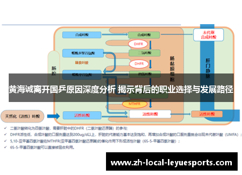 黄海诚离开国乒原因深度分析 揭示背后的职业选择与发展路径