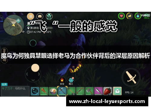 魔鸟为何独具慧眼选择老马为合作伙伴背后的深层原因解析 魔鸟为何独具慧眼选择老马为合作伙伴背后的深层原因解析