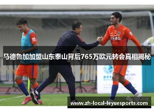 马德鲁加加盟山东泰山背后765万欧元转会真相揭秘